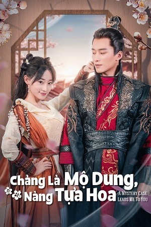 Xem phim Chàng Là Mộ Dung, Nàng Tựa Hoa